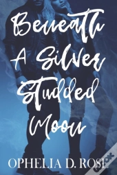 Beneath A Silver Studded Moon