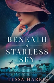 Capa do artigo Beneath A Starless Sky