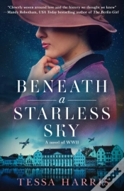 Capa do artigo Beneath A Starless Sky