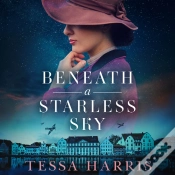 Capa do artigo Beneath A Starless Sky