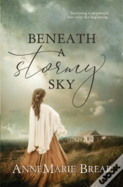 Capa do artigo Beneath A Stormy Sky