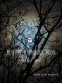 Beneath A Younger Moon - Preview