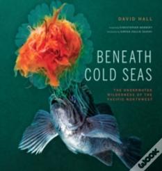 Beneath Cold Seas