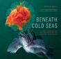 Beneath Cold Seas - Preview
