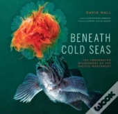 Beneath Cold Seas