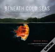 Capa do artigo Beneath Cold Seas