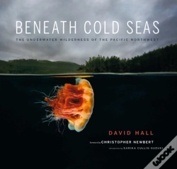 Capa do artigo Beneath Cold Seas