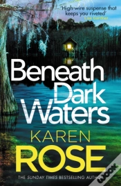 Capa do artigo Beneath Dark Waters
