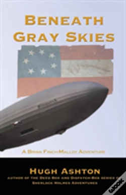 Capa do artigo Beneath Gray Skies
