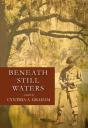 Beneath Still Waters - Preview