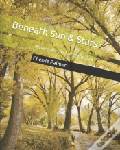 Capa do artigo Beneath Sun & Stars
