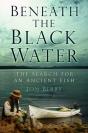 Beneath The Black Water - Preview