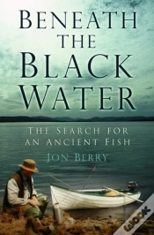 Capa do artigo Beneath The Black Water
