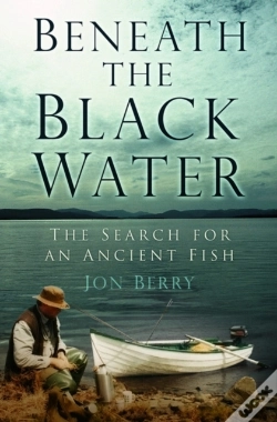 Capa do artigo Beneath The Black Water