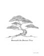 Beneath The Bonsai Tree - Preview