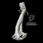 Beneath the Eyrie - CD - Preview