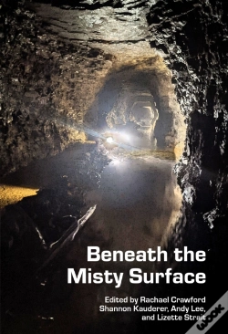 Capa do artigo Beneath The Misty Surface