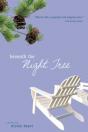 Beneath The Night Tree - Preview