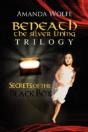 Beneath The Silver Lining Trilogy - Preview