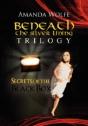 Beneath The Silver Lining Trilogy - Preview