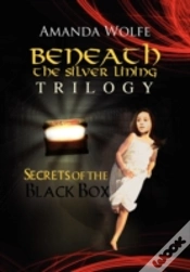 Capa do artigo Beneath The Silver Lining Trilogy