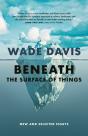 Beneath The Surface Of Things - Preview
