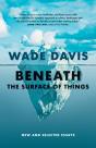 Beneath The Surface Of Things - Preview