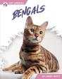 Bengals - Preview