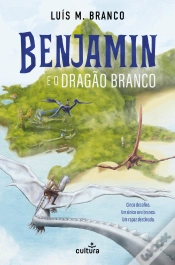 Capa do artigo Benjamin e o Dragão Branco