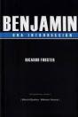 Benjamin. Una Introduccion   - Preview