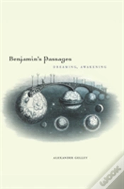 Capa do artigo Benjamin