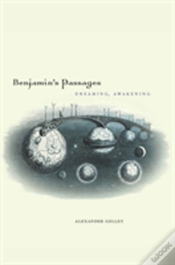 Capa do artigo Benjamin'S Passages