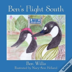Capa do artigo Ben'S Flight South