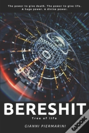 Capa do artigo Bereshit