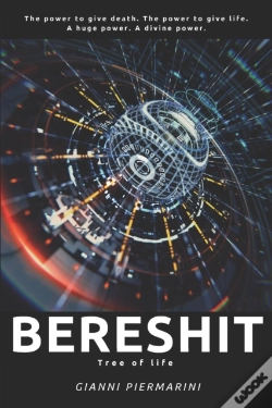 Capa do artigo Bereshit