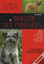 Berger Des Pyrennees