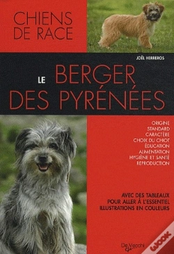 Capa do artigo Berger Des Pyrennees