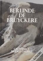 Berlinde De Bruyckere: Crossing A Bridge On Fire