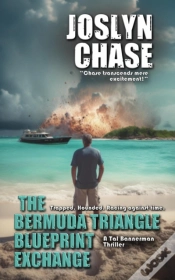 Capa do artigo Bermuda Triangle Blueprint Exchange