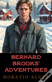 Capa do artigo Bernard Brooks