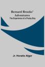 Bernard Brooks' Adventures: The Experien - Preview