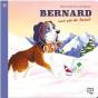 Bernard, Une Vie De Saint - Preview