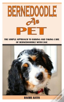 Capa do artigo Bernedoodle As Pet