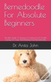 Capa do artigo Bernedoodle  For Absolute Beginners