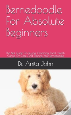 Capa do artigo Bernedoodle  For Absolute Beginners
