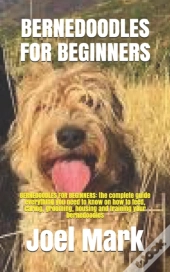 Bernedoodles For Beginners