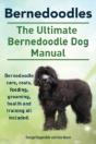 Bernedoodles. The Ultimate Bernedoodle D - Preview