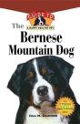 Bernese Mountain Dog - Preview