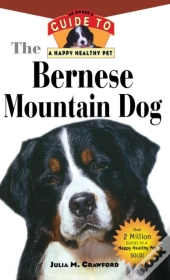 Bernese Mountain Dog