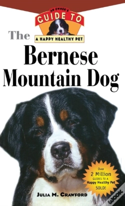 Capa do artigo Bernese Mountain Dog